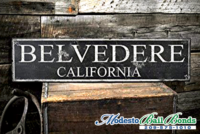 Belvedere Bail Bond Store