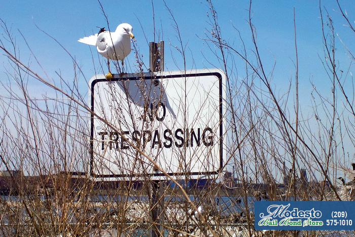 Trespassing Laws And Oversharing On Social Media
