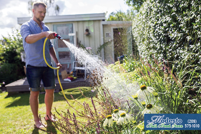 Watering Your California Lawn